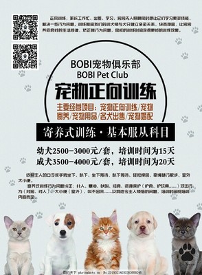 寵愛無限，服務無憂——新店開業，專為愛寵而來！
